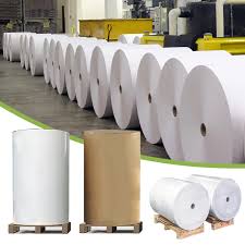 Premium Jumbo Tissue Rolls – Soft, High-Capacity Toilet Paper for Commercial & Home Use